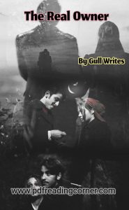 The Real Owner Romantic Novel By Gull Writes Free Download